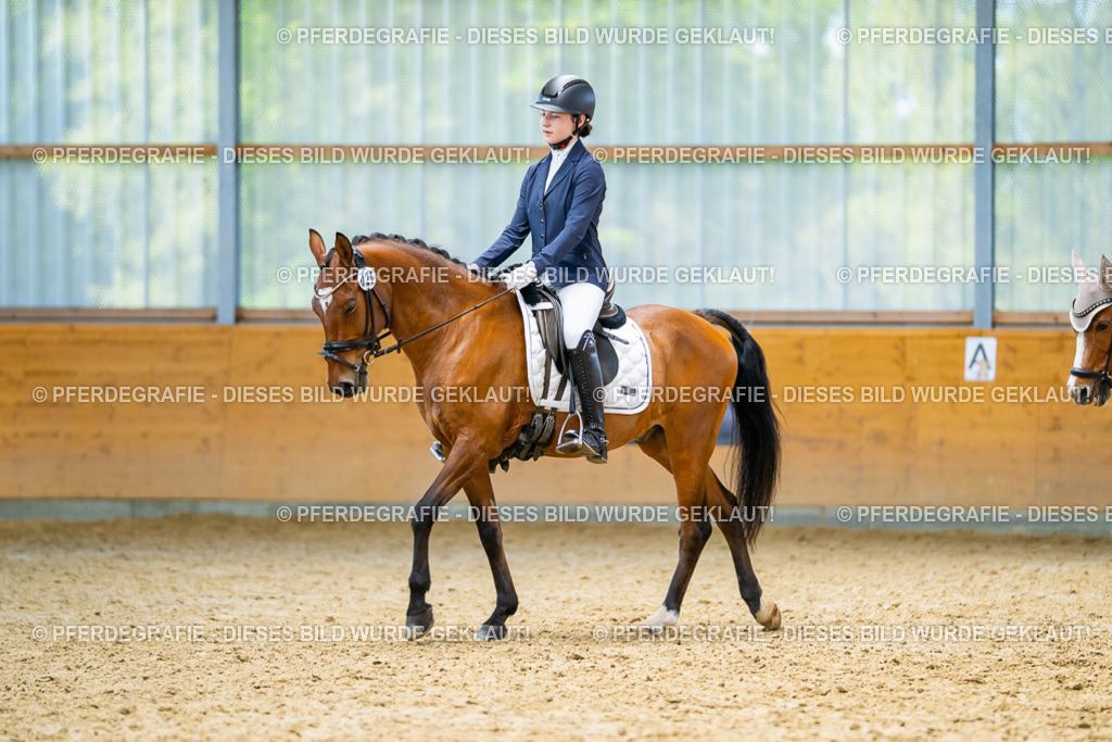 DSC08753 | Pferdegrafie