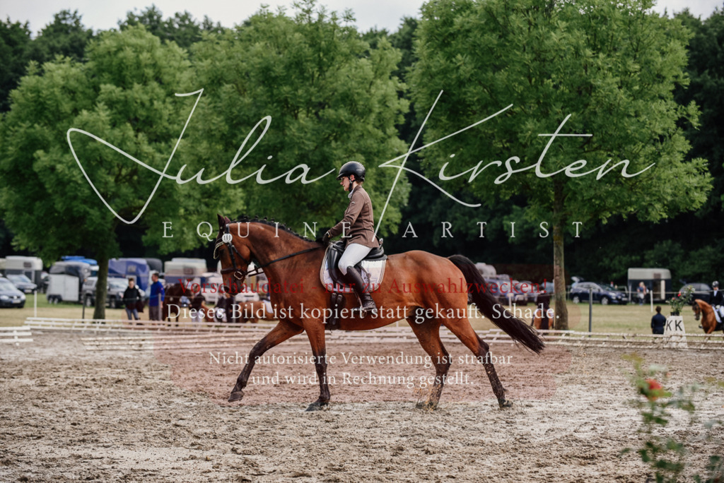 DSC_9533 | Pferde- und Turnierfotografie in Westsachsen. Pferdeportraits, Auftragszeichnungen und intuitive Kunst.