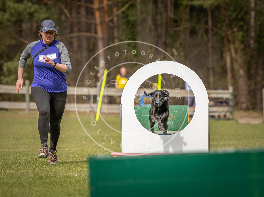 Pfotenfotografie_DV3A8529 | Hundefotografie, Tierfotograf, Pfotenfotografie, Fotoshooting Hund, Hunde Portrait, Hundesport, Hundeportraits, Heideshooting, Hunde, Sportfotograf, Hundefotograf, Turnierhundsport, THS,  - Realisiert mit Pictrs.com