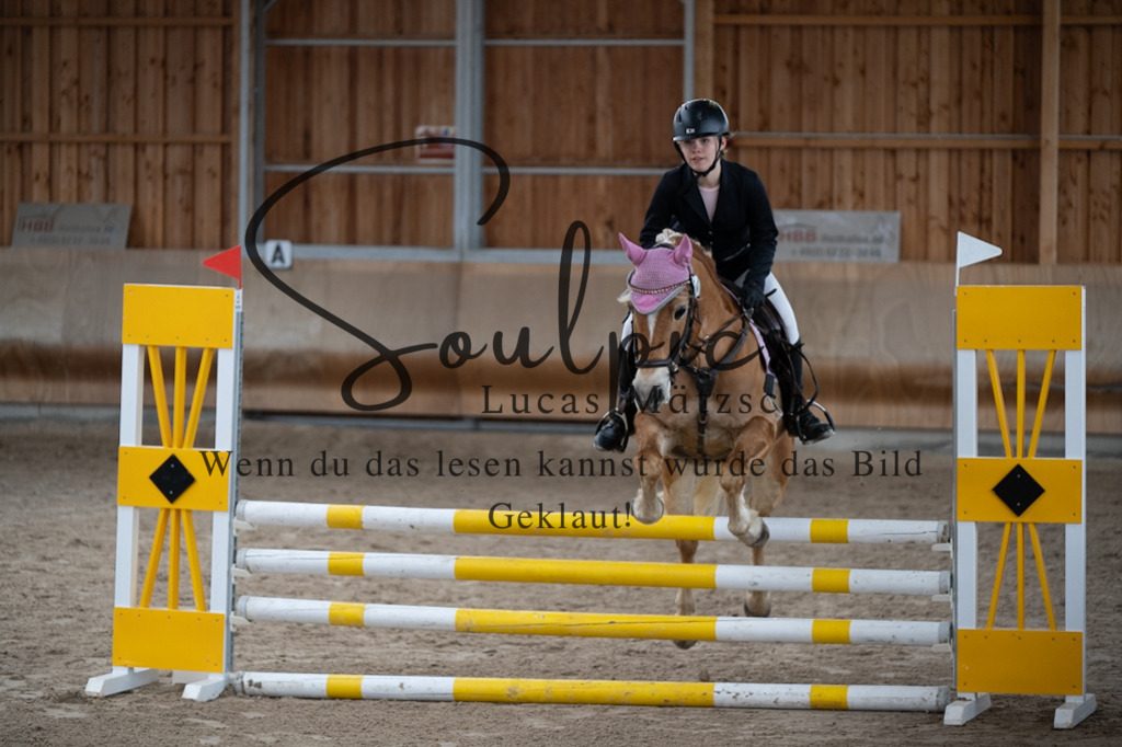 A7V00268 | Pferdefotograf