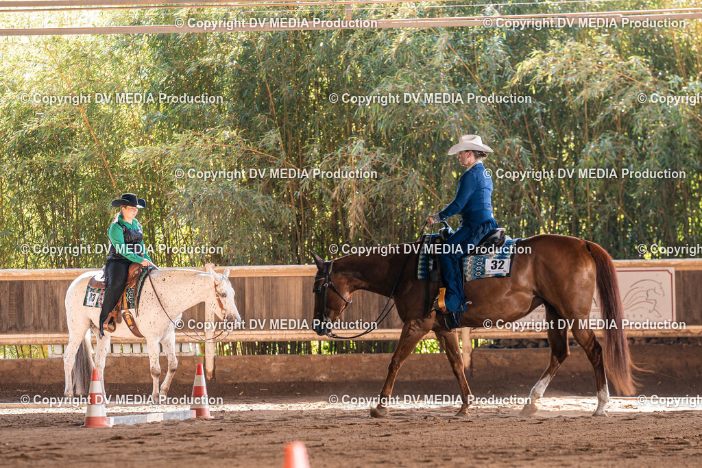 Erbach Tag 3-373 | dv-media-shop - Realisiert mit Pictrs.com