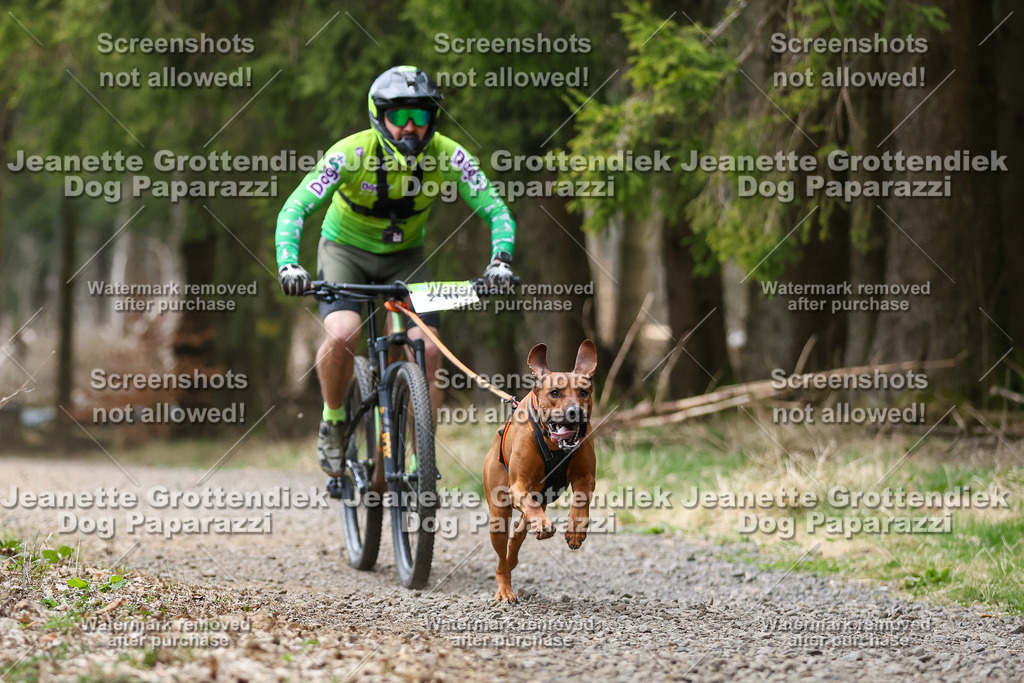 Dog Paparazzi - VCC26-540 | Dog Paparazzi Jeanette Grottendiek Fotografie & Videografie - Realisiert mit Pictrs.com