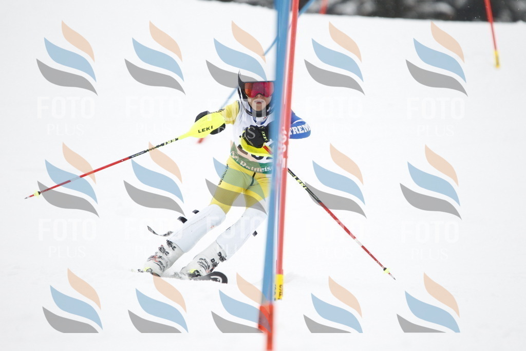 A1980 | holidayphoto