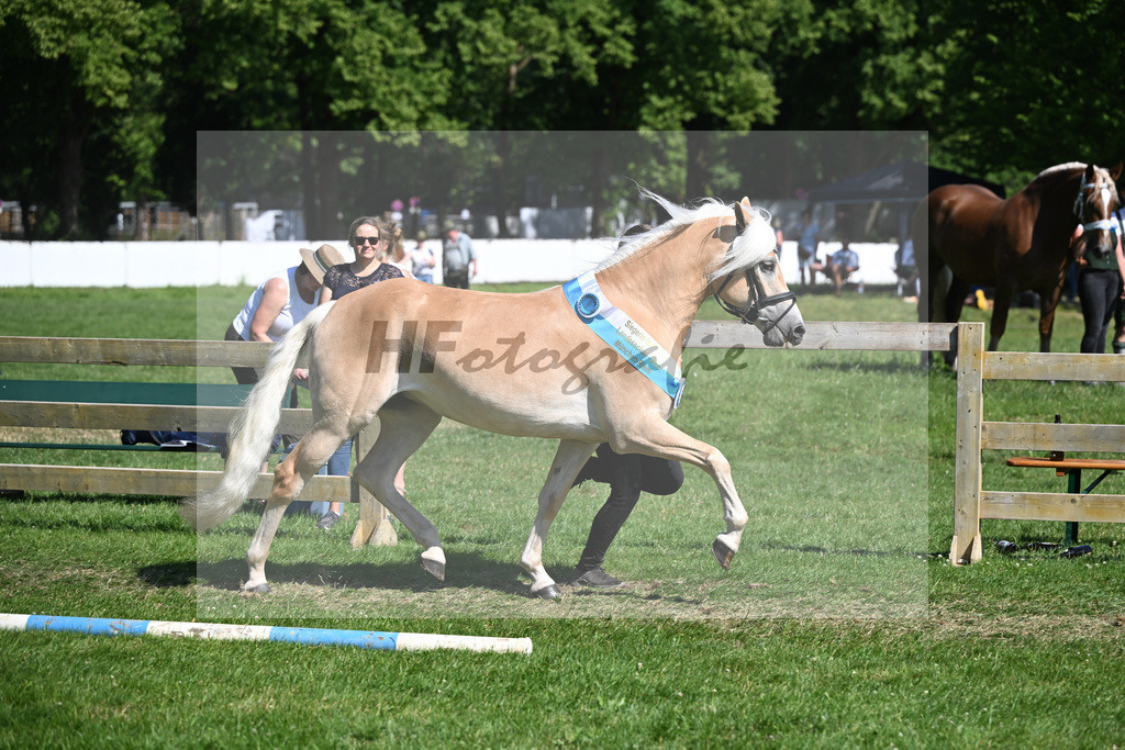 Kat-Nr. 4 Lorena v. Sterlington_Weber_18251476 | hf-fotografie - Realizzato con Pictrs.com