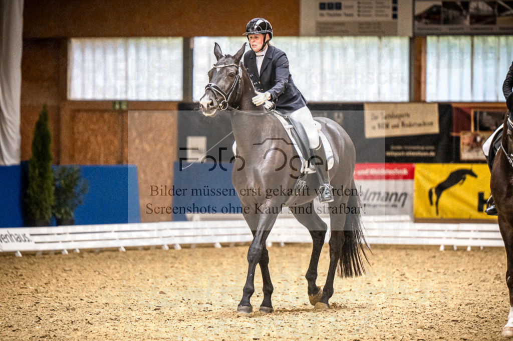 DOS_0872 | Entdecke hochwertige Reitturnierfotos von Foto Oger. Professionell, emotional und authentisch – jetzt Lieblingsmomente im Shop bestellen.Deutschlandweite Turnierfotografie. - Realisiert mit Pictrs.com