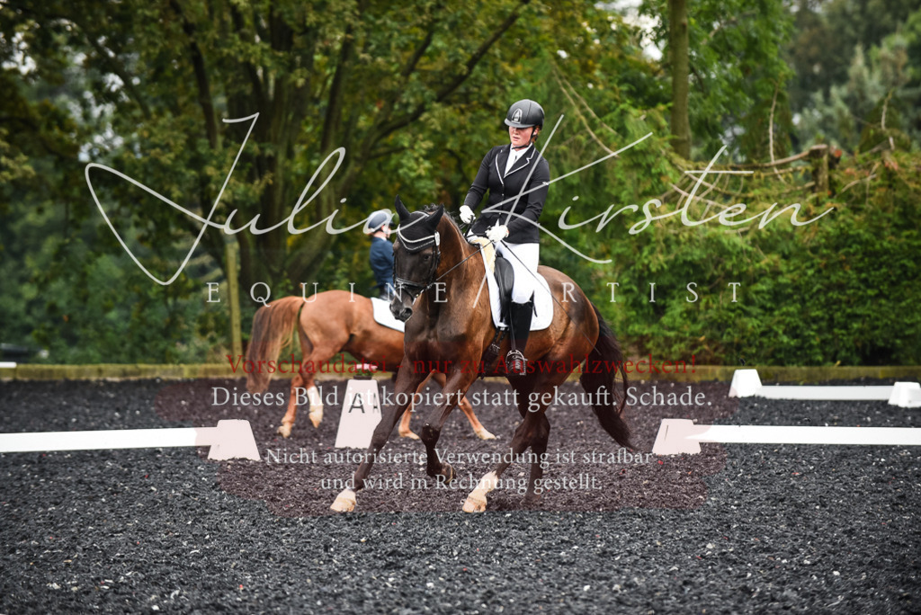 DSC_2825 | Pferde- und Turnierfotografie in Westsachsen. Pferdeportraits, Auftragszeichnungen und intuitive Kunst.