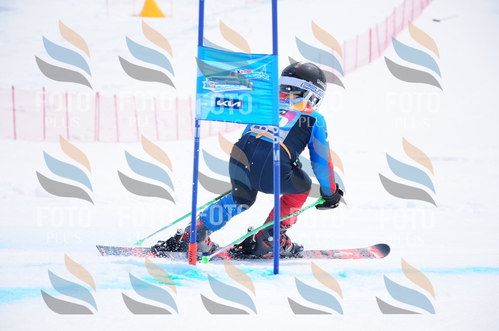 DSC_2493 | holidayphoto