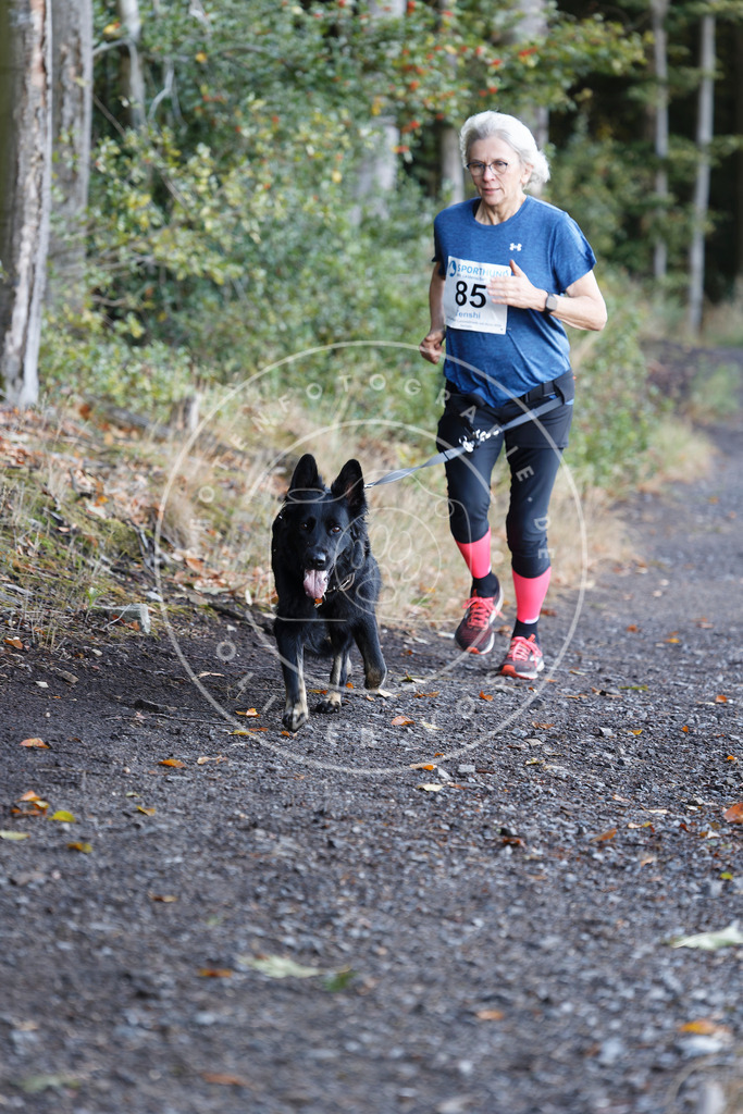 0L8A2121 | Hundefotografie, Tierfotograf, Pfotenfotografie, Fotoshooting Hund, Hunde Portrait, Hundesport, Hundeportraits, Heideshooting, Hunde, Sportfotograf, Hundefotograf, Turnierhundsport, THS,  - Realisiert mit Pictrs.com
