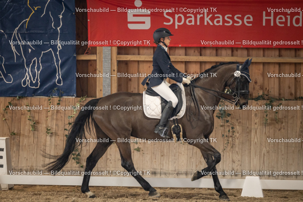 _D5A9172 | Emotionale Pferde- & People-Fotografie rund um Heidelberg, Leimen & Umgebung. Natürliche Fotos von Pferd, Mensch & Familie. Jetzt Termin sichern!