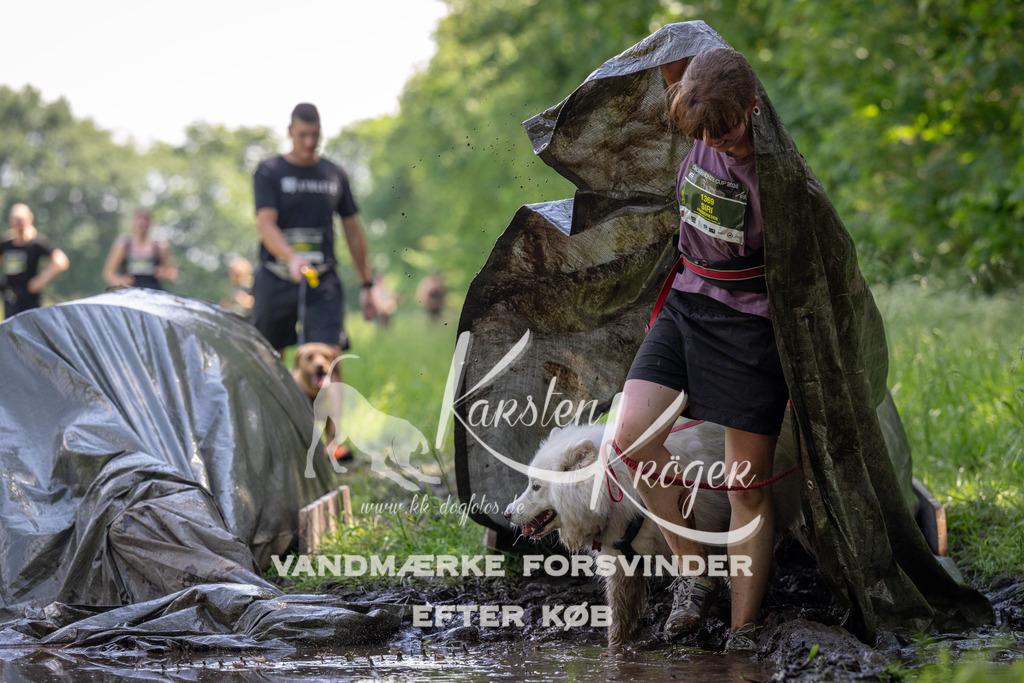 1154_ZZ90156 | kk-dogfotos