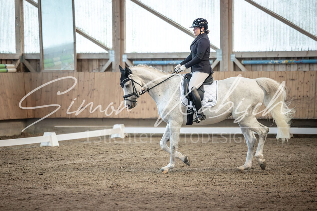 20251011-_3LI6311 | Tierfotografie Pferde, Hunde, Katzen, Haustiere.
Turnierfotografie Reitturniere, Reiten, Springreiten, Dressur in Hanau, dem Main-Kinzig-Kreis und dem Rhein-Main- Gebiet um Frankfurt