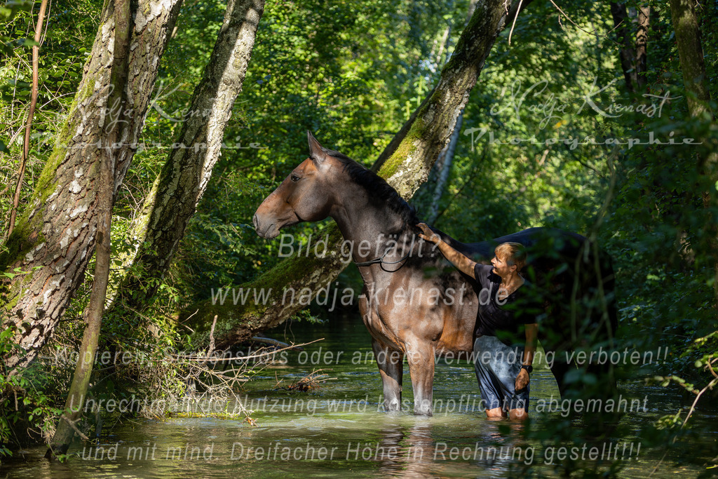 Auswahl_Photographie_Nadja_Kienast__IE_8613-Verbessert-RR | Ich biete Ihnen einzigartige und individuelle Fotoshootings mit Ihren Tieren.
In individuellen Coachings lernen Sie, wie sie von Ihrem Pferd, Ihrer Katze, Ihrem Hund oder einfach Ihrem persönlichen Lieblingstier eindrucksvolle Fotos machen können.