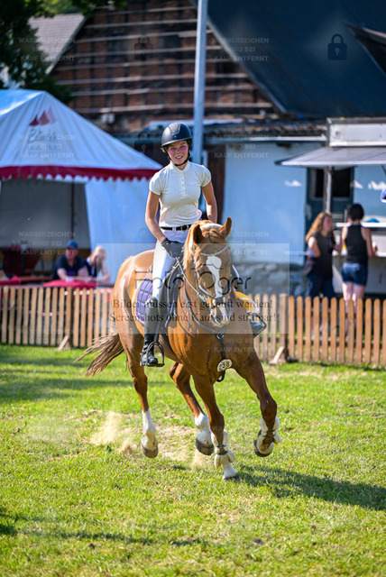Reitturnier Voxtrup | Entdecke hochwertige Reitturnierfotos von Foto Oger. Professionell, emotional und authentisch – jetzt Lieblingsmomente im Shop bestellen. - Realisiert mit Pictrs.com