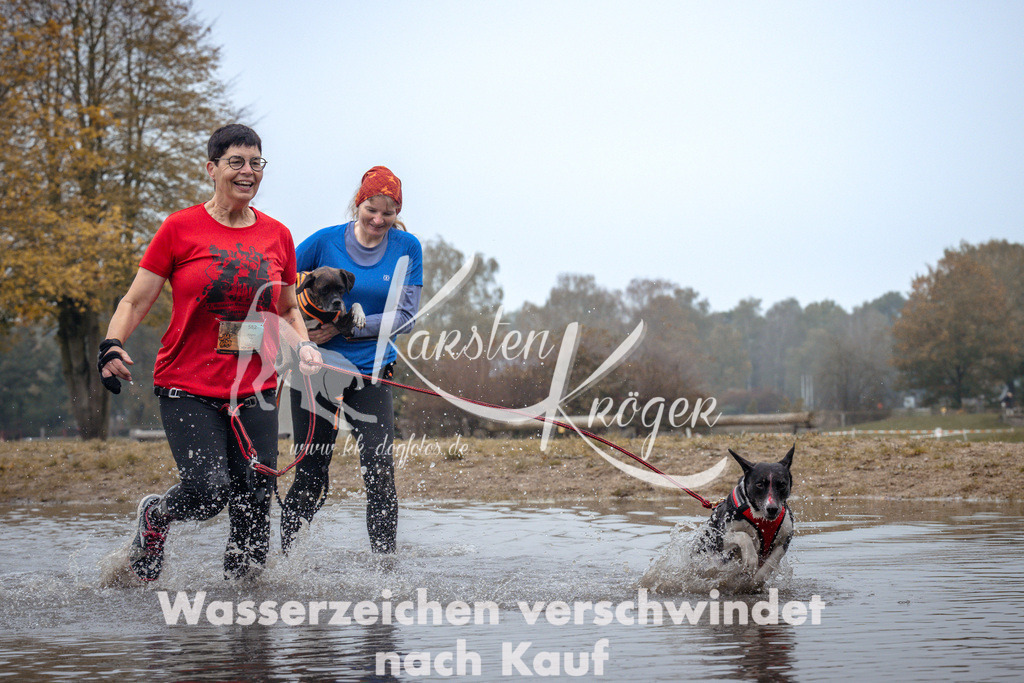 1104_ZZ92739 | kk-dogfotos