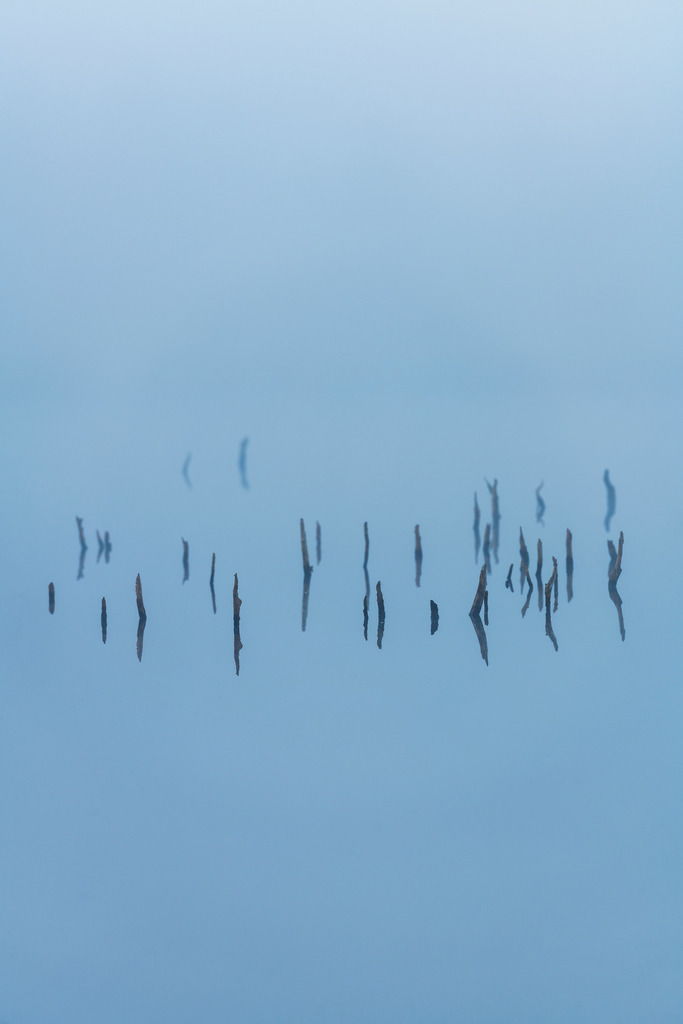 2024_10_04_HIMMELMOOR-NEBEL_MCP7319 | Hochwertig gedruckte Fotografien für die Wand, als Kalender und zum Verschenken. Hamburg & Norddeutschland und überall wo ich mit der Kamera unterwegs war.