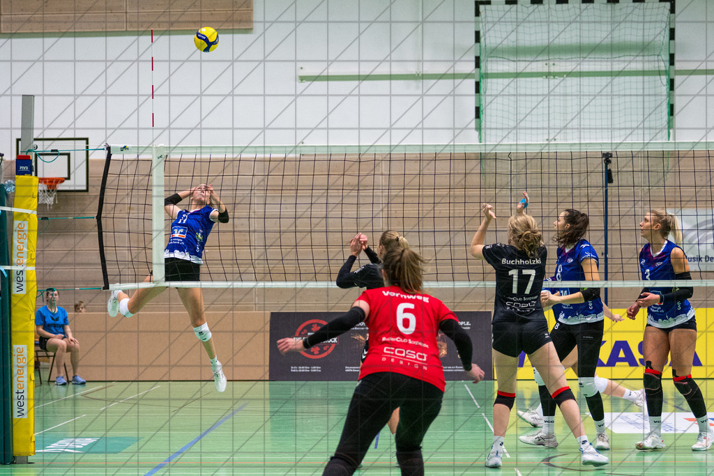 2. VBLF Nord 25/26 | Spiel 4041 | VC Osnabrück vs. RC Sorpesee | //  30.11.25: 2. VBLF Nord 25/26 | Spiel 4041 | VC Osnabrück vs. RC Sorpesee / Osnabrück / Deutschland  //   CREDIT:www.bullenfotos.de, Martin König, Hörner Weg 40, D-49078 Osnabrück, +4917663732967 // Nutzung und Weitergabe nur zu den vereinbarten Zwecken. Presseanfragen an Ersteller. Alle Rechte beim Ersteller. Honorierung nach MFM. - Realisiert mit Pictrs.com