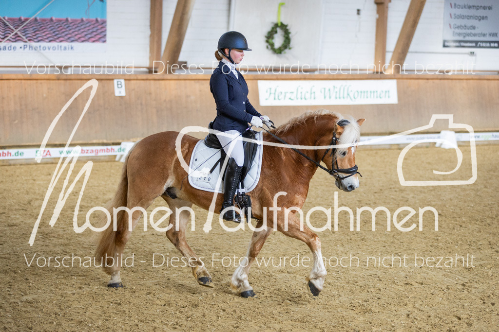 Sth-LPO25-L-Kür-053 | MomenTaufnahmen Pferdesportfotos