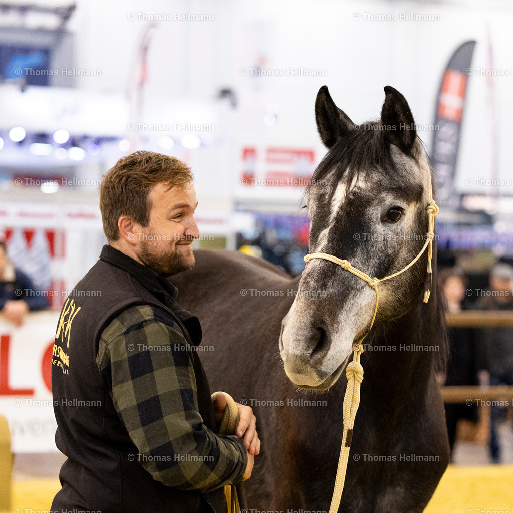TH_Kerstin Knaus Pferdetraining_27320 | JulEQUITANA 2025 am 11.03.25 in Essen