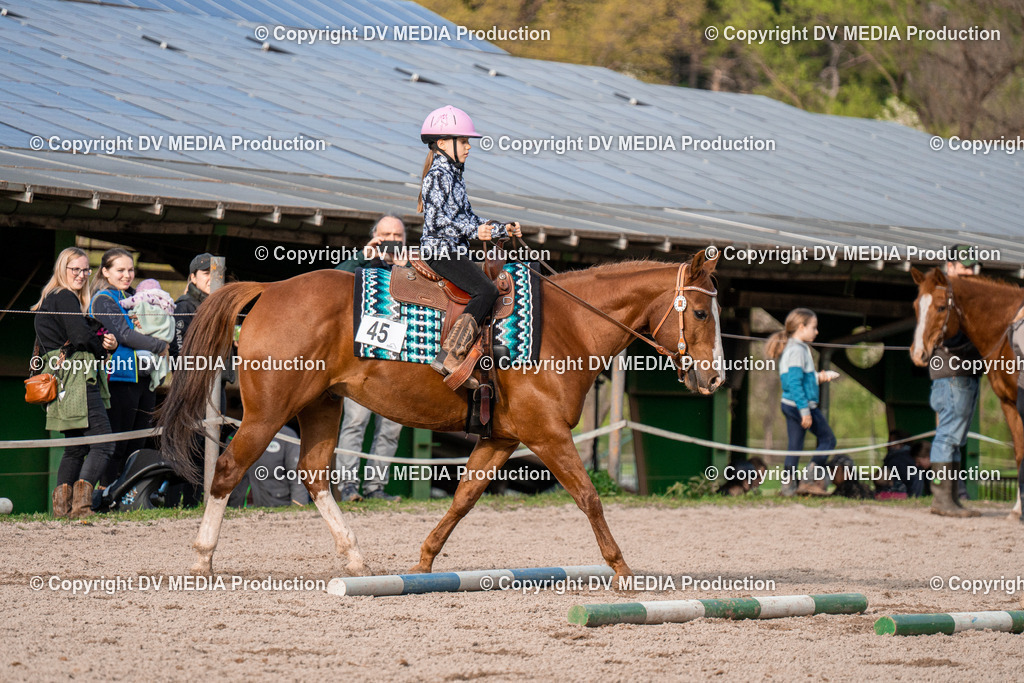 BAL02900 | dv-media-shop - Realisiert mit Pictrs.com