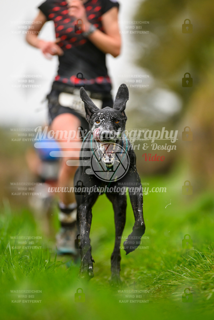 MompixPhotography_20TSB_E8_Run-157 | PayLife