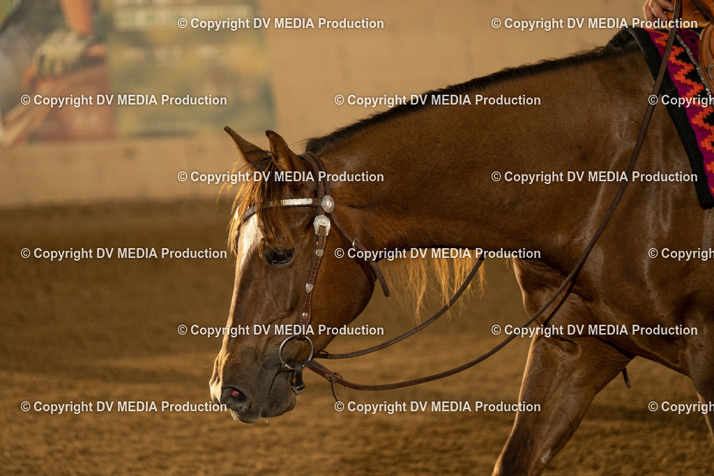 LAU01975 | dv-media-shop - Realisiert mit Pictrs.com