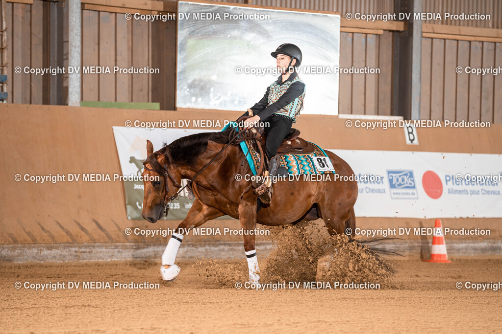 Losheim Tag 1-683 | dv-media-shop - Realisiert mit Pictrs.com