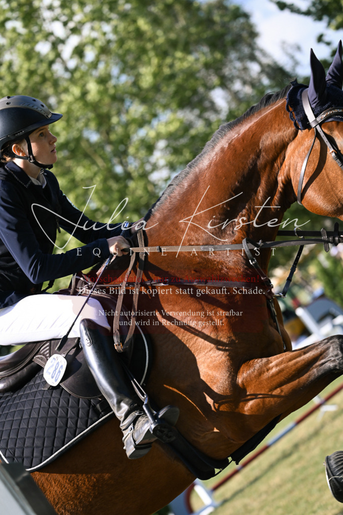 DSC_1336 | Pferde- und Turnierfotografie in Westsachsen. Pferdeportraits, Auftragszeichnungen und intuitive Kunst.