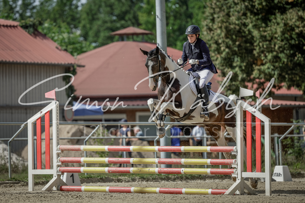 20250906-_3LI6021 | Tierfotografie Pferde, Hunde, Katzen, Haustiere.
Turnierfotografie Reitturniere, Reiten, Springreiten, Dressur in Hanau, dem Main-Kinzig-Kreis und dem Rhein-Main- Gebiet um Frankfurt