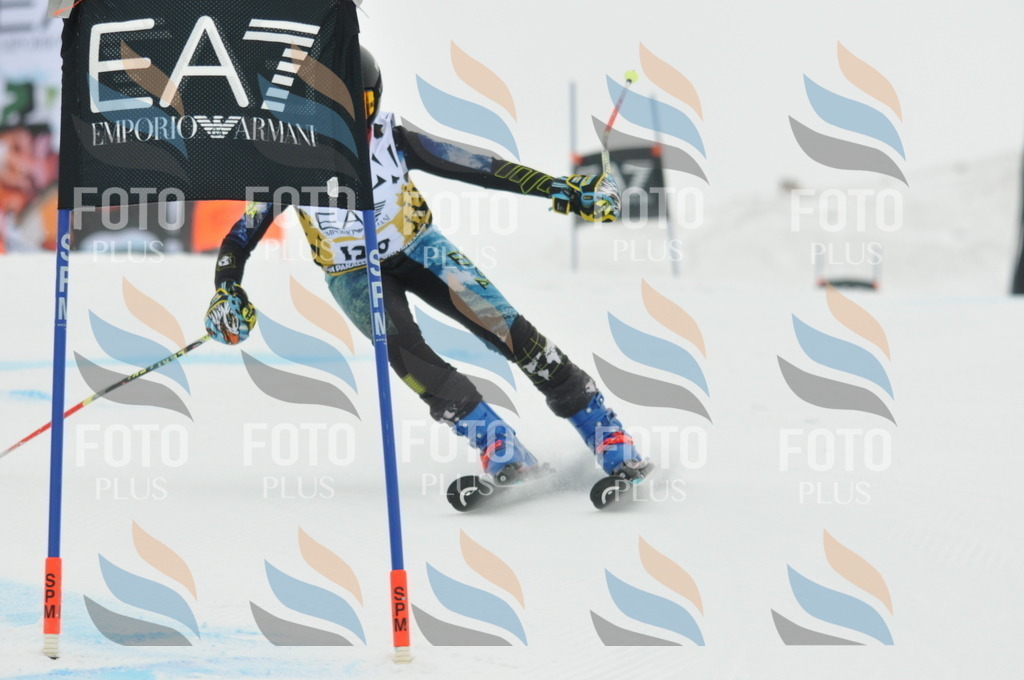 DSC_8216 | holidayphoto