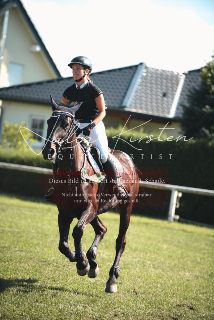 DSC_7352 | Pferde- und Turnierfotografie in Westsachsen. Pferdeportraits, Auftragszeichnungen und intuitive Kunst.