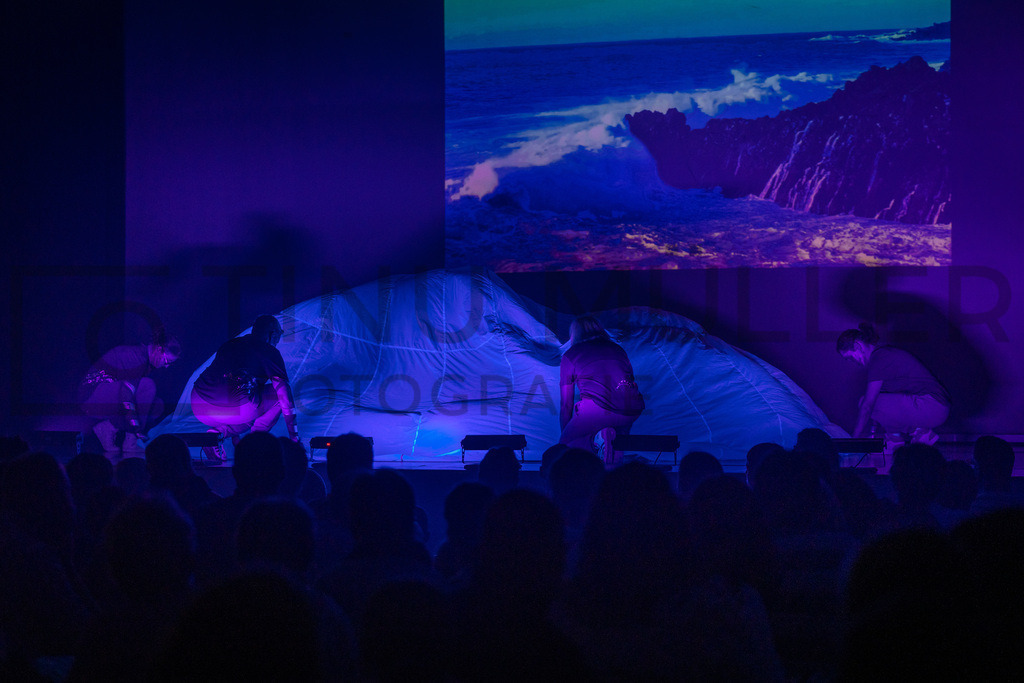 _DSC2742 | Tinu Müller Fotografie- Bildershop - Realisiert mit Pictrs.com