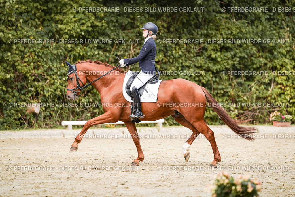 DSC02710 | Pferdegrafie