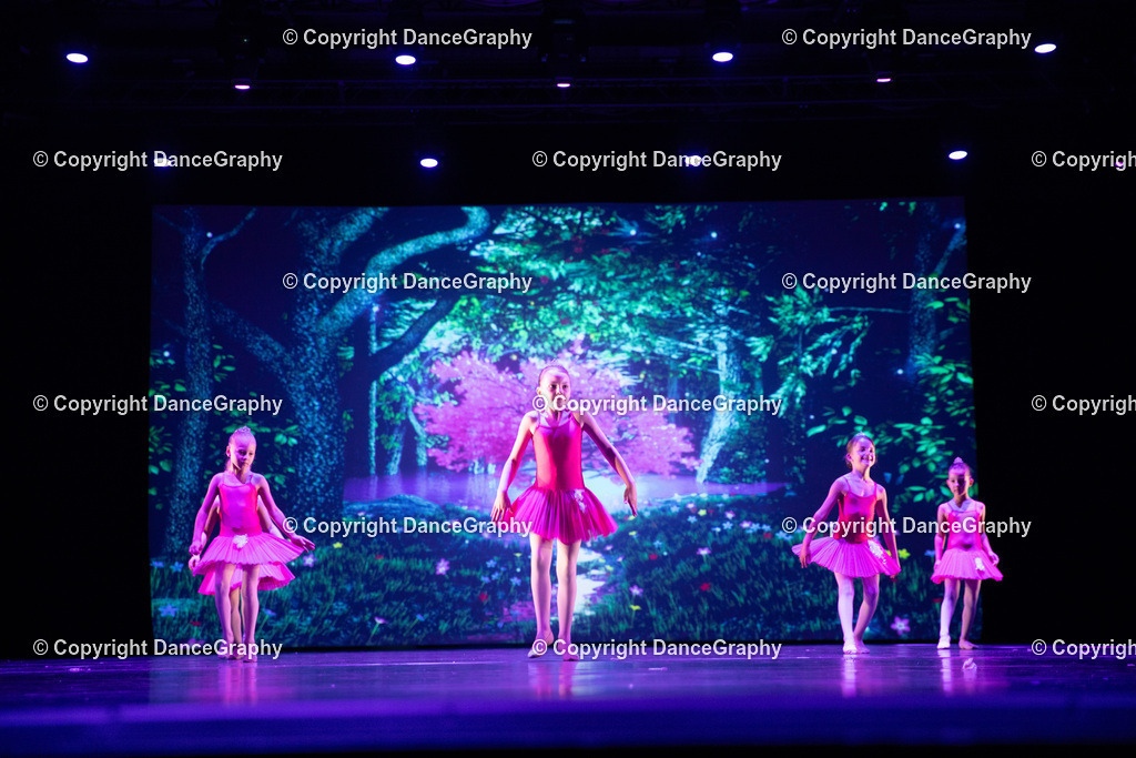 GPHY5030 | DanceGraphy - Realisiert mit Pictrs.com