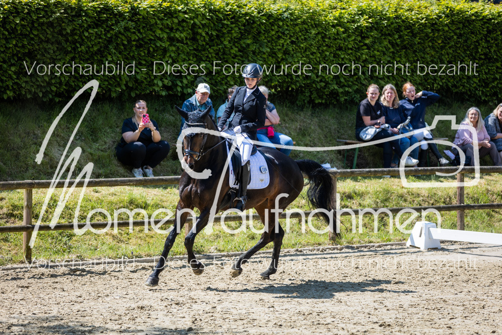 Donop24-L-Dre-092 | MomenTaufnahmen Pferdesportfotos