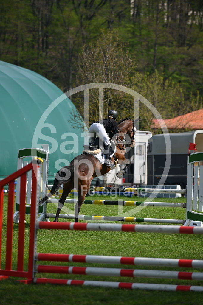 DSC_1230 | sattelsport - Realisiert mit Pictrs.com