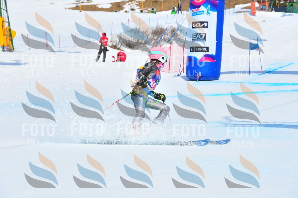 DSC_5240 | holidayphoto