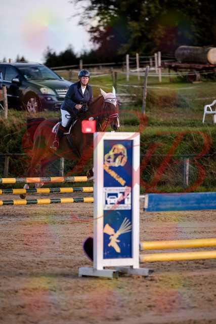 2026_10_03_Siefer-Hof_170355_Z81_00627201 | Professionelle Reitsport-, Turnier- und Eventfotografie von Robert Broda. Galerien mit ausgewählten und bearbeiteten Bildern direkt online ansehen und bestellen.
