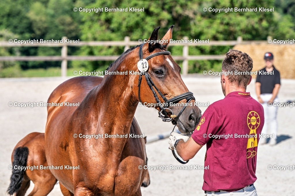 2A906562 | foto-team-bernhard - Realisiert mit Pictrs.com