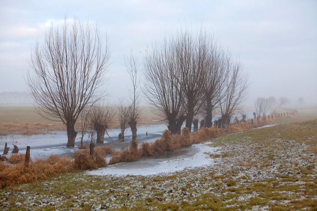 170108-118 | Europa, DEU, Deutschland, NRW, Nordrhein Westfalen, Niederrhein, Rheinland, Xanten, Naturschutzgebiet Xantener Altrhein, Bislicher Insel, Typische Landschaft, Winter, Dunst, Nebel, Frost, Typische Kopfweiden, Kategorien und Themen, Natur, Umwelt, Landschaft, Jahreszeiten, Stimmungen, Landschaftsfotografie, Landschaften, Landschaftsphoto, Landschaftsphotographie, Wetter, Wetterelemente, Wetterlage, Wetterkunde, Witterung, Witterungsbedingungen, Wettererscheinungen, Meteorologie, Wettervorhersage[Fuer die Nutzung gelten die jeweils gueltigen Allgemeinen Liefer-und Geschaeftsbedingungen. Nutzung nur gegen Verwendungsmeldung und Nachweis. Download der AGB unter http://www.image-box.com oder werden auf Anfrage zugesendet. Freigabe ist vorher erforderlich. Jede Nutzung des Fotos ist honorarpflichtig gemaess derzeit gueltiger MFM Liste - Kontakt, Uwe Schmid-Fotografie, Duisburg, Tel. (+49).2065.677997, ..archiv@image-box.com, www.image-box.com] - Realisiert mit Pictrs.com