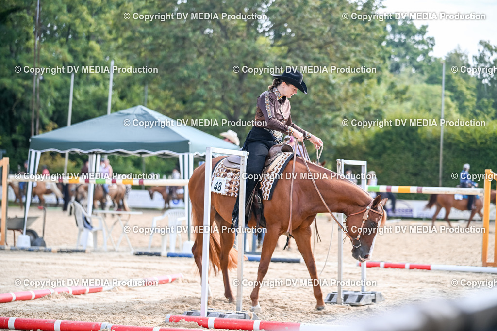 ZS2_3500 | dv-media-shop - Realisiert mit Pictrs.com