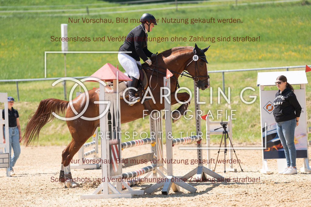 DSC04469 | Springturnier_Ehingen_Mai_2026, Sabrina_Börner, Caru_2