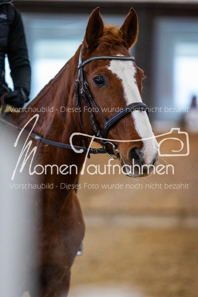 LehrgSth24-012 | MomenTaufnahmen Pferdesportfotos