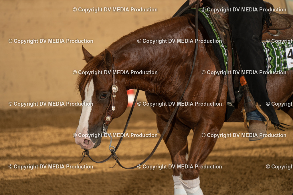 LAU01828 | dv-media-shop - Realisiert mit Pictrs.com