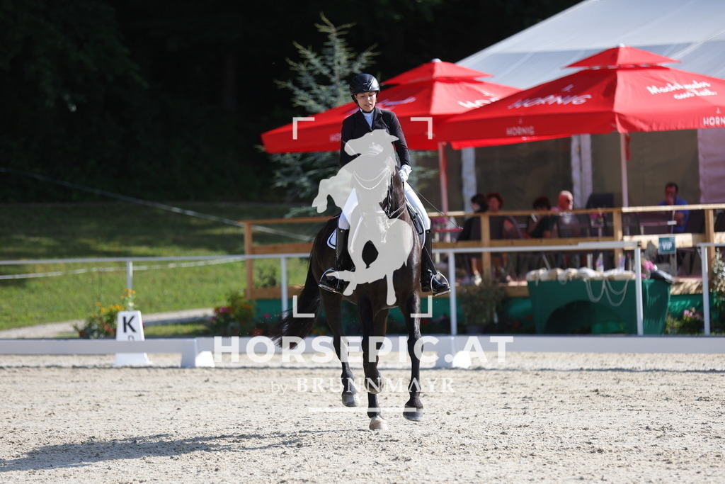 0P6A4523 | Willkommen bei Brunnmayr - Design & Fotografie – Ihrem Spezialisten für Reitturniere und Pferdeveranstaltungen in Oberösterreich, Salzburg und Bayern! Seit über 17 Jahren sind wir leidenschaftlich dabei.