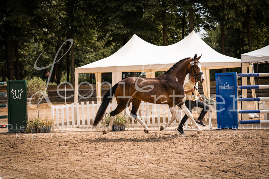 2. Fr00152 | Leoni Ertmer Photography - Realisiert mit Pictrs.com