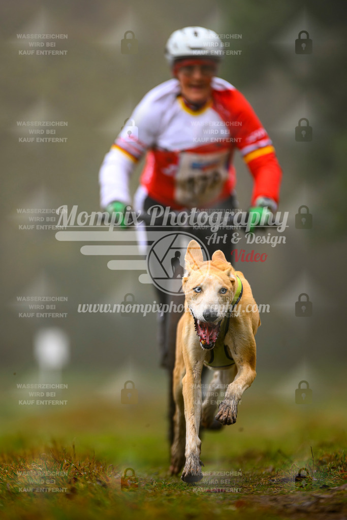 MompixPhotography_Bischwiller2025_Scooter-61 | mompixphotography