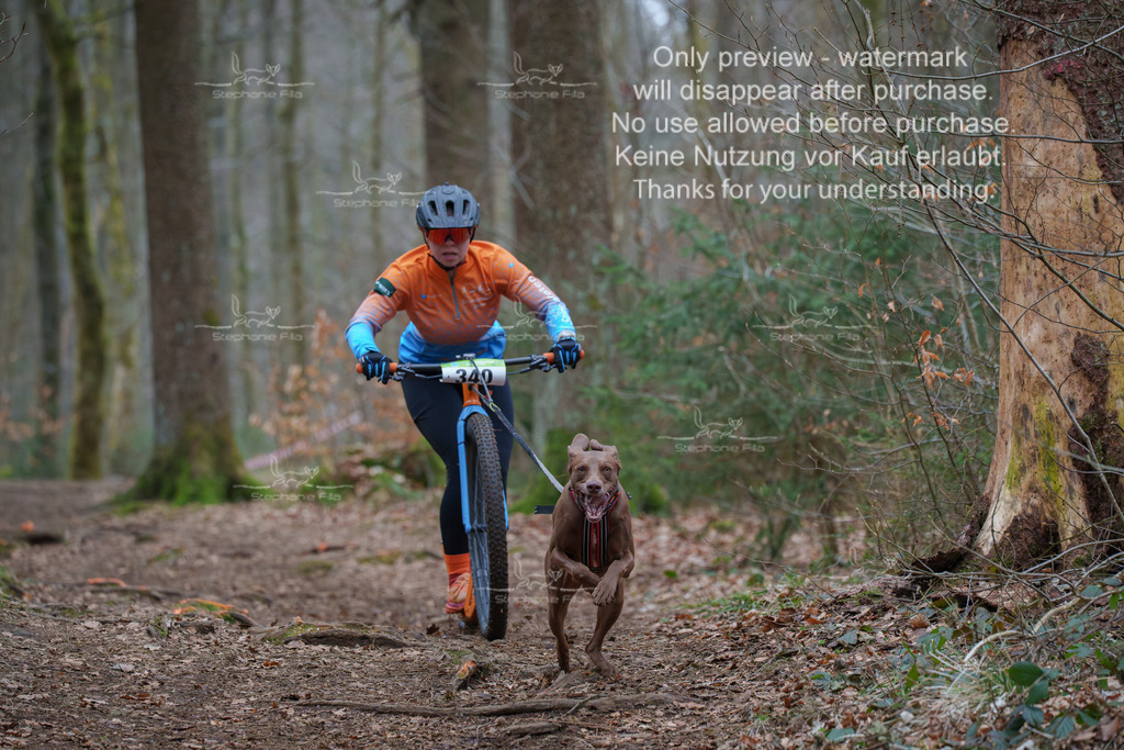 Scooter_So-24 | stephaniefillaphotographie - Realisiert mit Pictrs.com