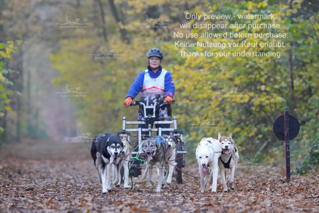 Rigs4bis8So-95 | stephaniefillaphotographie - Realisiert mit Pictrs.com