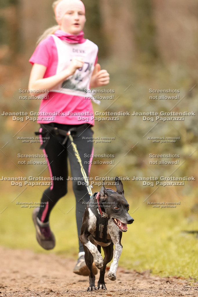 Dog Paparazzi - Speedhunter Mannheim  2025-296 | Dog Paparazzi Jeanette Grottendiek Fotografie & Videografie