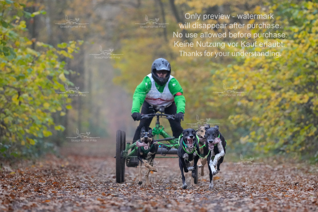 Rigs4bis8So-30 | stephaniefillaphotographie - Realisiert mit Pictrs.com